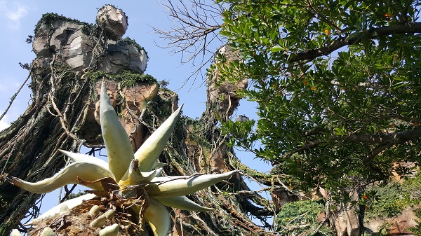 Pandora  World of Avatar  Animal Kingdom  Disney World